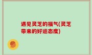 遇见灵芝的福气(灵芝带来的好运态度)