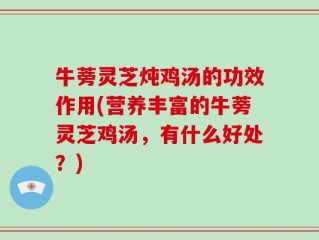 牛蒡灵芝炖鸡汤的功效作用(营养丰富的牛蒡灵芝鸡汤，有什么好处？)