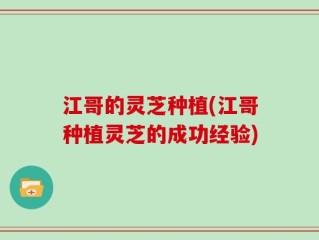 江哥的灵芝种植(江哥种植灵芝的成功经验)