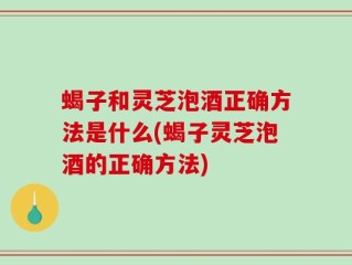 蝎子和灵芝泡酒正确方法是什么(蝎子灵芝泡酒的正确方法)