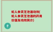 蛇人参灵芝泡酒功效(蛇人参灵芝泡酒的药用价值及功效简介)