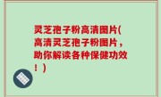 灵芝孢子粉高清图片(高清灵芝孢子粉图片，助你解读各种保健功效！)