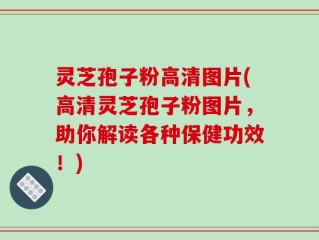 灵芝孢子粉高清图片(高清灵芝孢子粉图片，助你解读各种保健功效！)