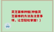 灵芝菌棒种植(种植灵芝菌棒的方法及注意事项，让您轻松掌握！)