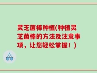 灵芝菌棒种植(种植灵芝菌棒的方法及注意事项，让您轻松掌握！)