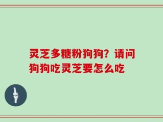 灵芝多糖粉狗狗？请问狗狗吃灵芝要怎么吃