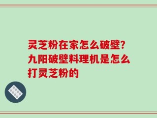 灵芝粉在家怎么破壁？九阳破壁料理机是怎么打灵芝粉的