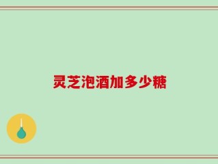灵芝泡酒加多少糖