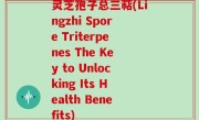 灵芝孢子总三萜(Lingzhi Spore Triterpenes The Key to Unlocking Its Health Benefits)