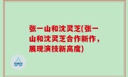 张一山和沈灵芝(张一山和沈灵芝合作新作，展现演技新高度)