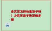 赤灵芝怎样收集孢子粉？冲灵芝孢子粉正确步骤