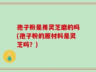 孢子粉是用灵芝磨的吗(孢子粉的原材料是灵芝吗？)