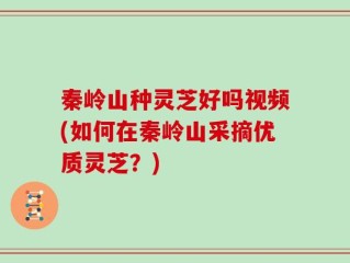 秦岭山种灵芝好吗视频(如何在秦岭山采摘优质灵芝？)