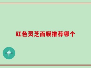 红色灵芝面膜推荐哪个