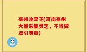 亳州收灵芝(河南亳州大量采集灵芝，不当做法引质疑)