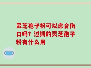 灵芝孢子粉可以愈合伤口吗？过期的灵芝孢子粉有什么用