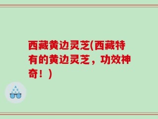 西藏黄边灵芝(西藏特有的黄边灵芝，功效神奇！)