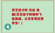 灵芝孢子粉 托运 美国(灵芝孢子粉顺利飞抵美国，让您享受优质养生！)