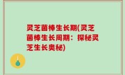 灵芝菌棒生长期(灵芝菌棒生长周期：探秘灵芝生长奥秘)
