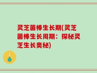 灵芝菌棒生长期(灵芝菌棒生长周期：探秘灵芝生长奥秘)