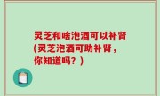 灵芝和啥泡酒可以补肾(灵芝泡酒可助补肾，你知道吗？)