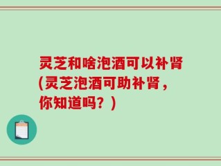 灵芝和啥泡酒可以补肾(灵芝泡酒可助补肾，你知道吗？)