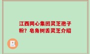 江西同心集团灵芝孢子粉？皂角树舌灵芝介绍