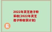 2022年灵芝孢子粉采收(2022年灵芝孢子粉收获计划)