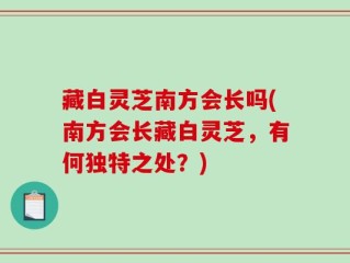 藏白灵芝南方会长吗(南方会长藏白灵芝，有何独特之处？)
