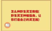 怎么种野生灵芝教程(野生灵芝种植指南，让你打造自己的灵芝园)