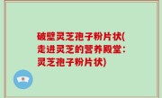破壁灵芝孢子粉片状(走进灵芝的营养殿堂：灵芝孢子粉片状)