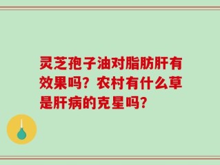 灵芝孢子油对脂肪肝有效果吗？农村有什么草是肝病的克星吗？