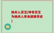 杨夫人灵芝(神奇灵芝为杨夫人带来健康奇迹)