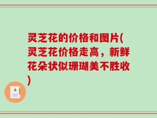 灵芝花的价格和图片(灵芝花价格走高，新鲜花朵状似珊瑚美不胜收)