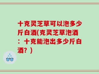 十克灵芝草可以泡多少斤白酒(克灵芝草泡酒：十克能泡出多少斤白酒？)