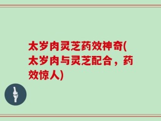 太岁肉灵芝药效神奇(太岁肉与灵芝配合，药效惊人)