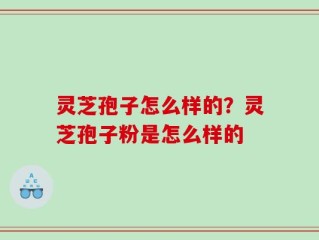 灵芝孢子怎么样的？灵芝孢子粉是怎么样的