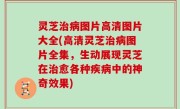 灵芝治病图片高清图片大全(高清灵芝治病图片全集，生动展现灵芝在治愈各种疾病中的神奇效果)