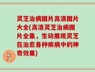 灵芝治病图片高清图片大全(高清灵芝治病图片全集，生动展现灵芝在治愈各种疾病中的神奇效果)