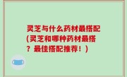 灵芝与什么药材最搭配(灵芝和哪种药材最搭？最佳搭配推荐！)