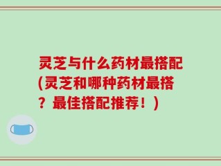 灵芝与什么药材最搭配(灵芝和哪种药材最搭？最佳搭配推荐！)