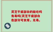 灵芝干底部白的能吃吗有毒吗(灵芝干底部白色部分可食用，无毒。