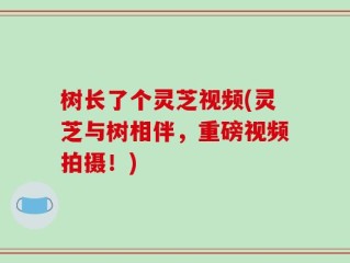树长了个灵芝视频(灵芝与树相伴，重磅视频拍摄！)