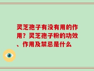 灵芝孢子有没有用的作用？灵芝孢子粉的功效、作用及禁忌是什么