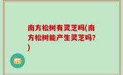 南方松树有灵芝吗(南方松树能产生灵芝吗？)