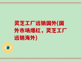灵芝工厂远销国外(国外市场爆红，灵芝工厂远销海外)