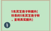 5克灵芝孢子粉图片(珍贵的5克灵芝孢子粉，呈现真实图片)