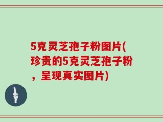 5克灵芝孢子粉图片(珍贵的5克灵芝孢子粉，呈现真实图片)