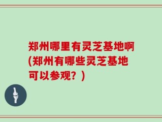 郑州哪里有灵芝基地啊(郑州有哪些灵芝基地可以参观？)
