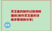 灵芝菌的制作过程视频播放(制作灵芝菌的详细步骤视频分享)
